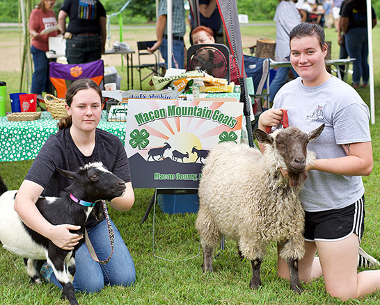 Appalachian Heritage Festival